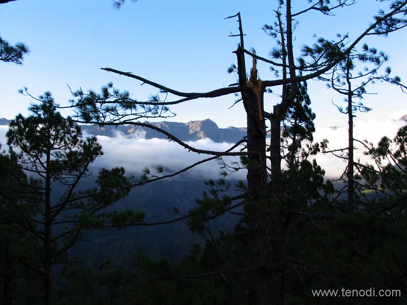 LaPalma (148).JPG